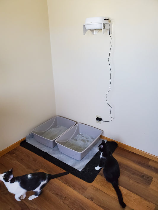 Two litter boxes with Purrified Air filter mounted above on wall.