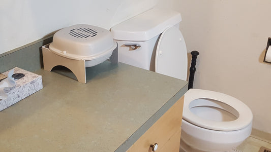 Best kinds of air purification for litter boxes and homes