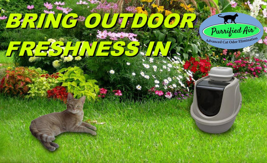 Purrified (Purified) Air Litter Box Air Purifier