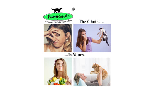 New review from CatBandit
