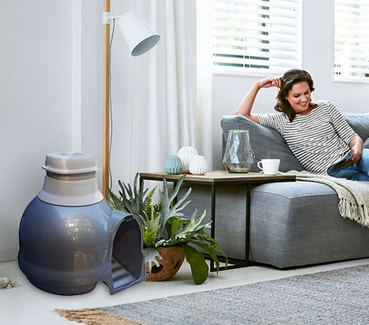 Purrified Air litter box odor control in living room