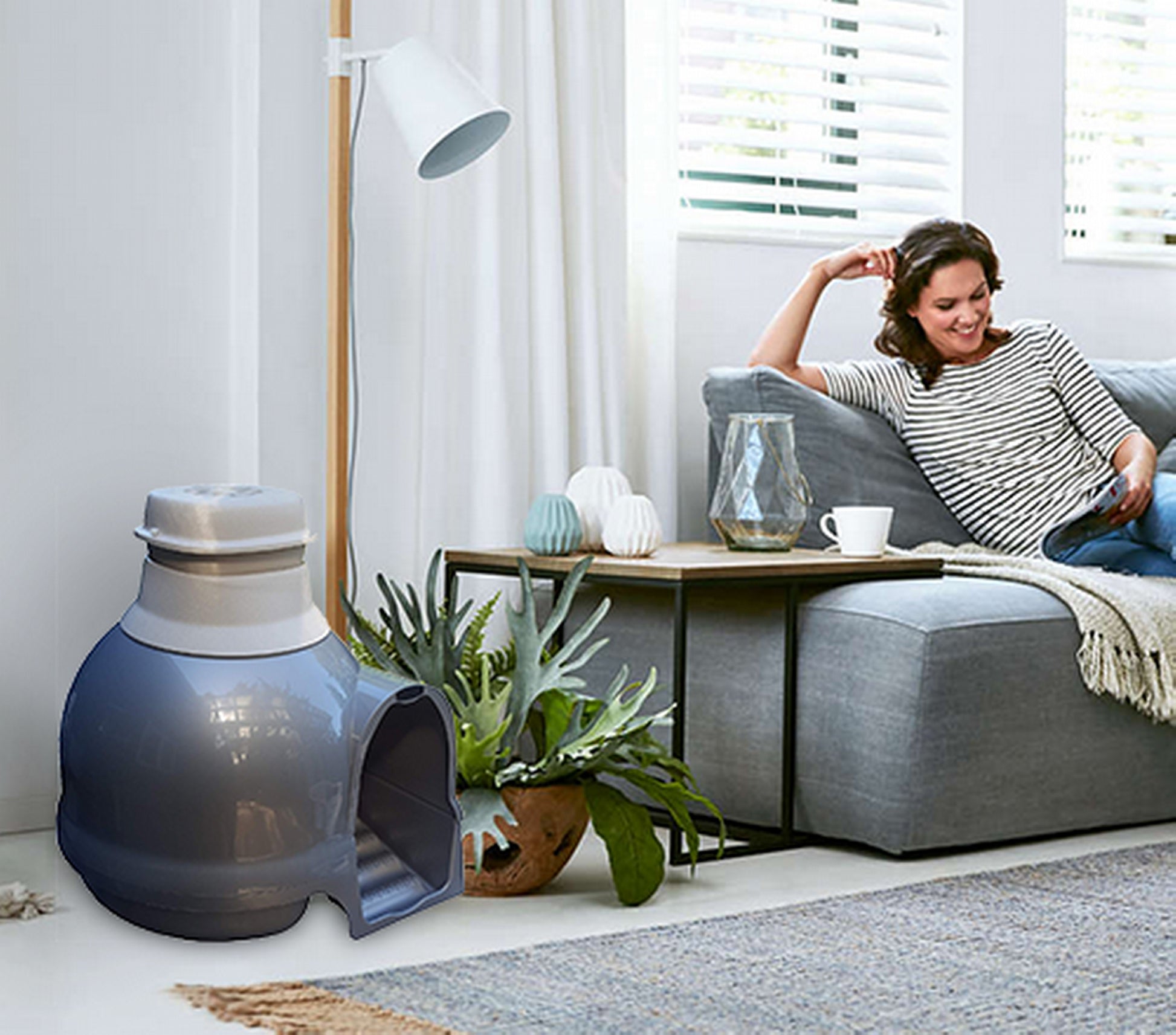 Purrified Air litter box odor control in living room