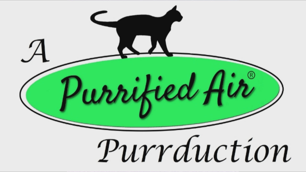 customer setups of Purrified Air