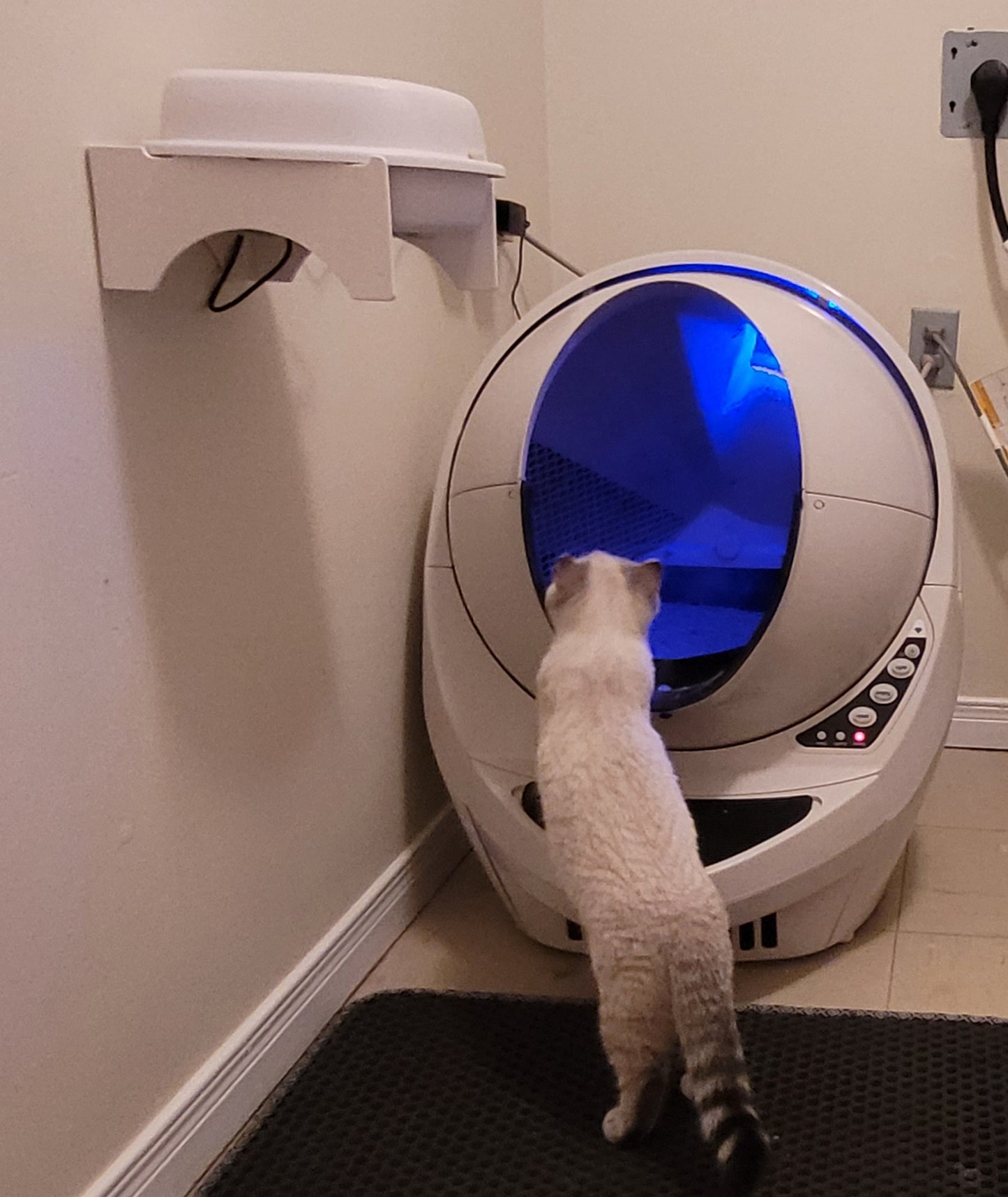 Purrified Air Wall Bracket & Table Top Holder - Purrified Air, Pet odor control - cat odor and litter box air filter, Purrified Air - Purrified Air, Purrified Air Purrified Air