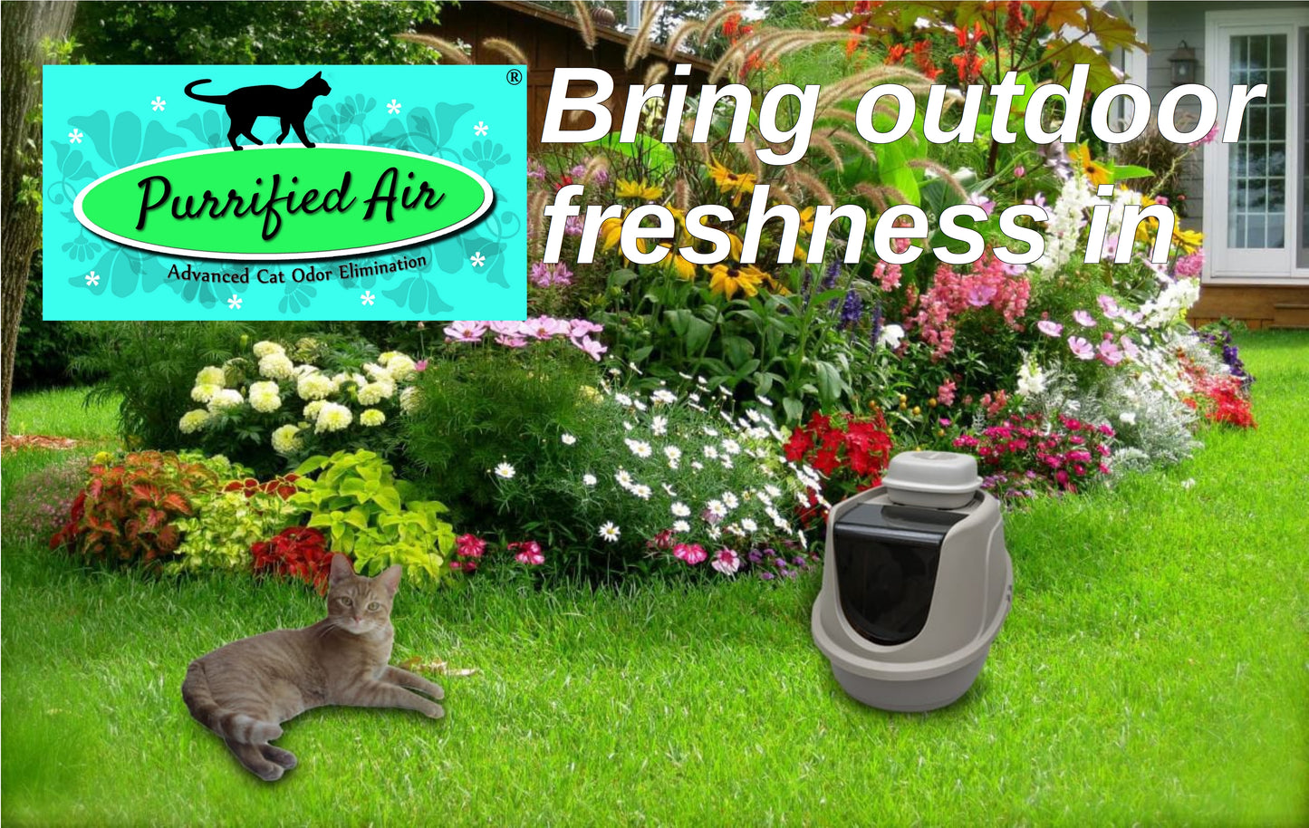Purrified Air Discount Group B - Purrified Air, Pet odor control - cat odor and litter box air filter, Purrified Air - Purrified Air, Purrified Air Purrified Air