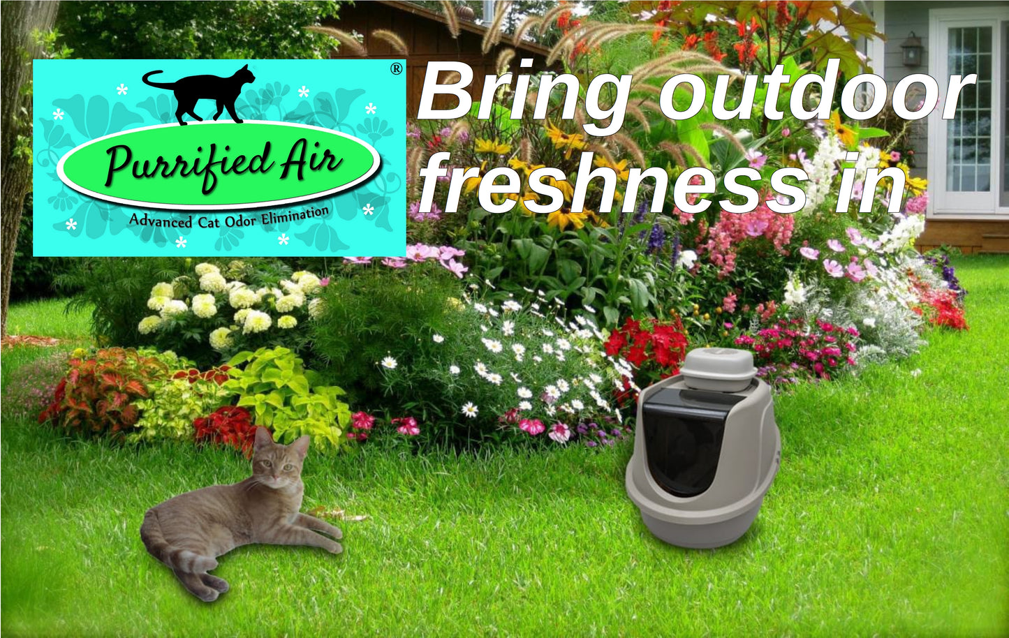 Purrified Air Discount Group A - Purrified Air, Pet odor control - cat odor and litter box air filter, Purrified Air - Purrified Air, Purrified Air Purrified Air