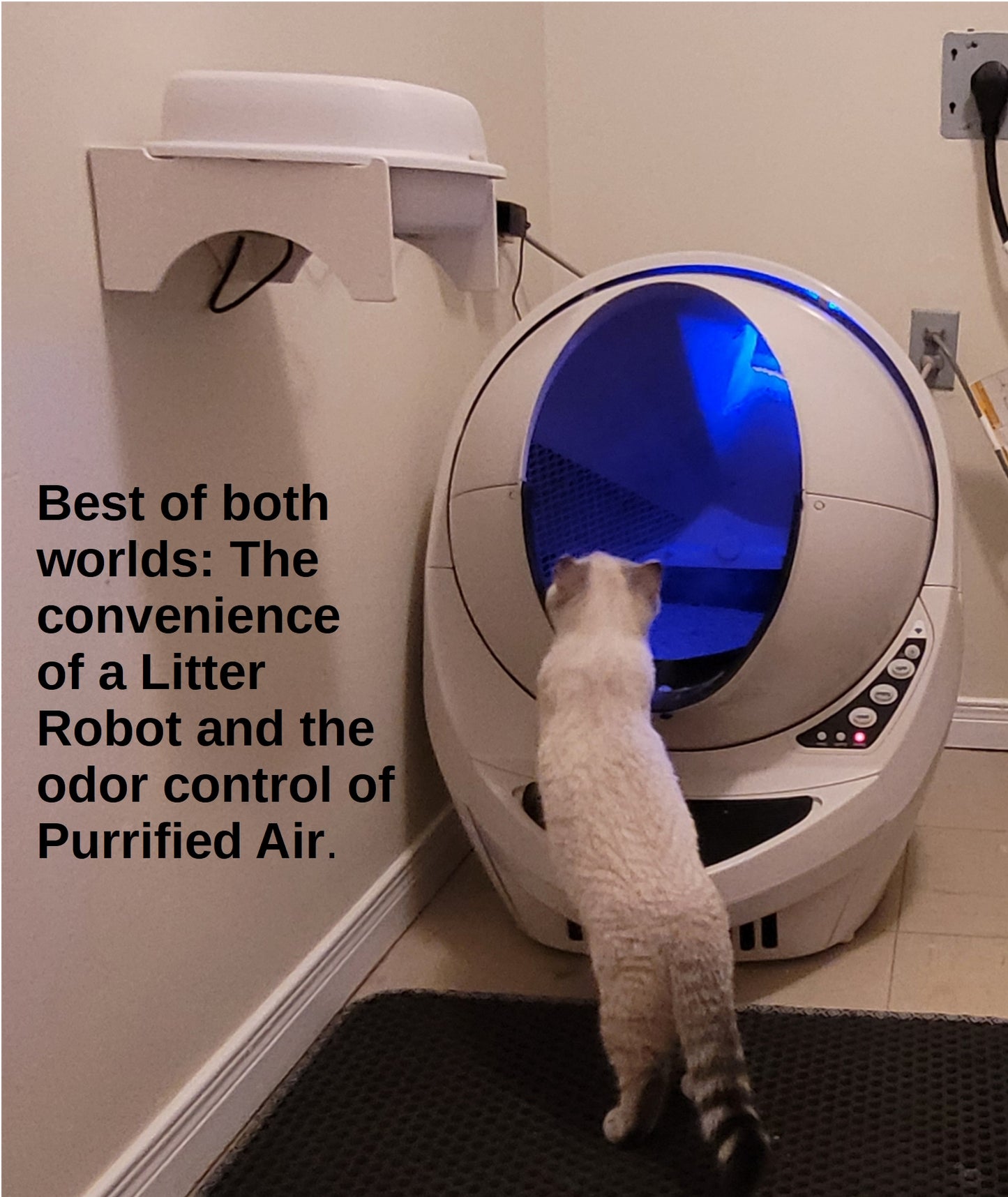 Air Purifier Cat Litter, cat litter box air purifier, odor, pet odor