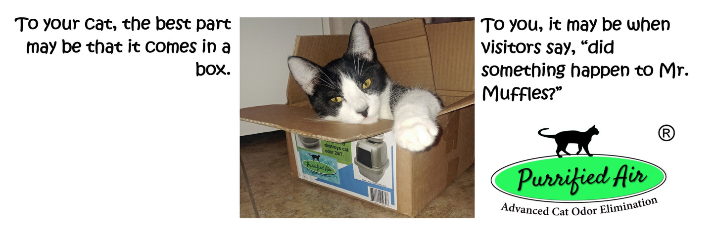Purrified Air Litter Box Air Purifier - Purrified Air, Pet odor control - cat odor and litter box air filter, Purrified Air - Purrified Air, Purrified Air Purrified Air, air purifier cat litter, cat litter box air purifier