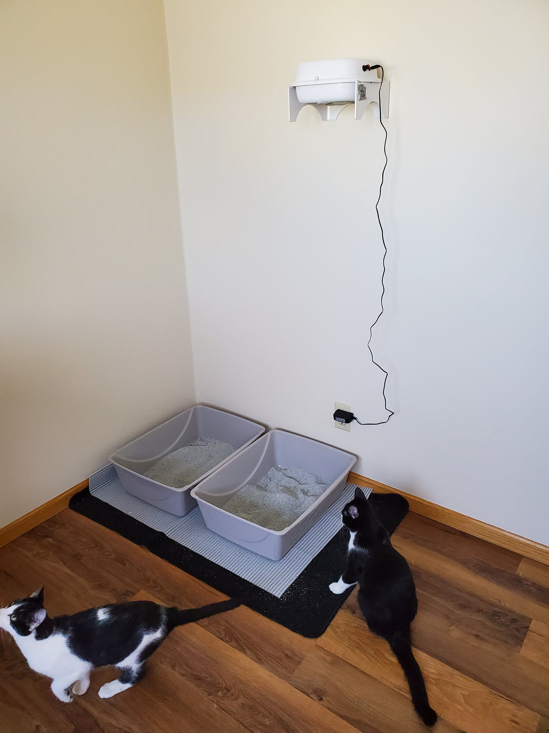 Two litter boxes with Purrified Air filter mounted above on wall.