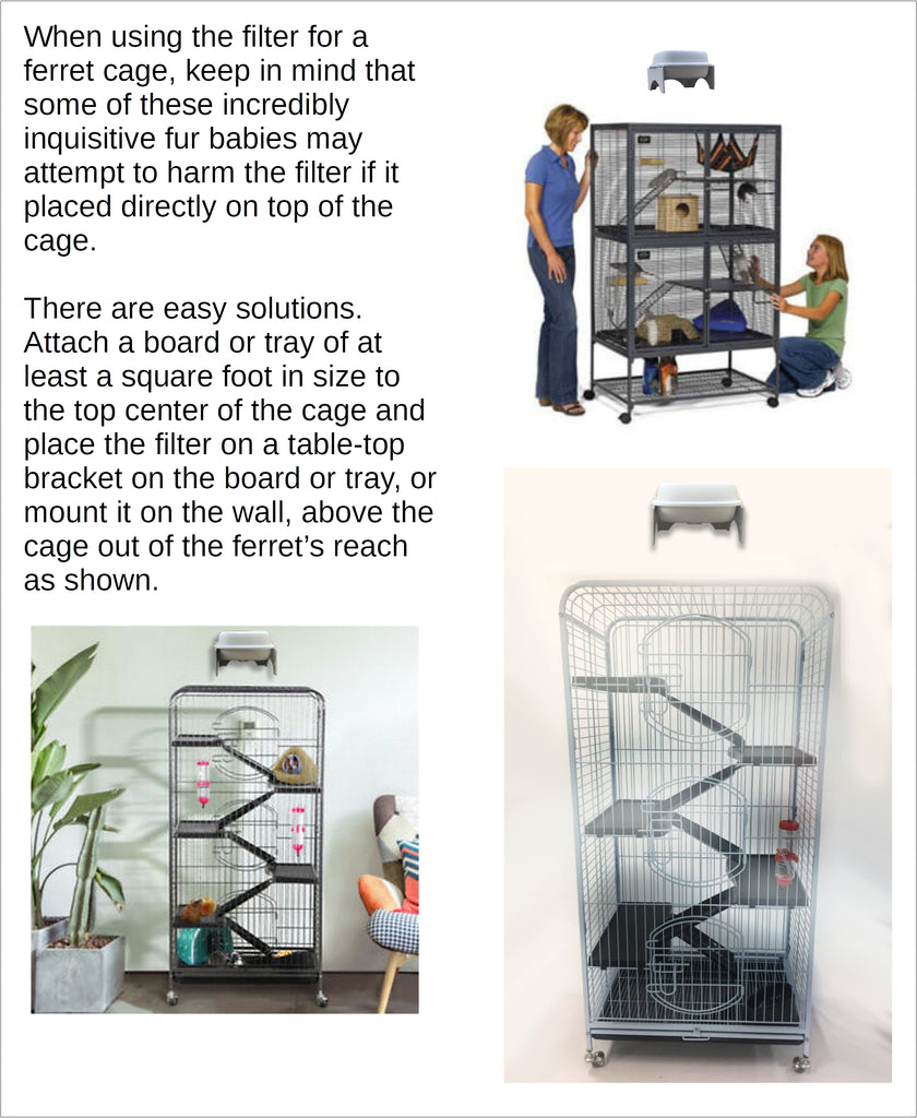 How To Control Ferret Odor Purrified Air
