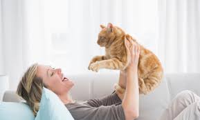 Can a cat live in an apartment?
