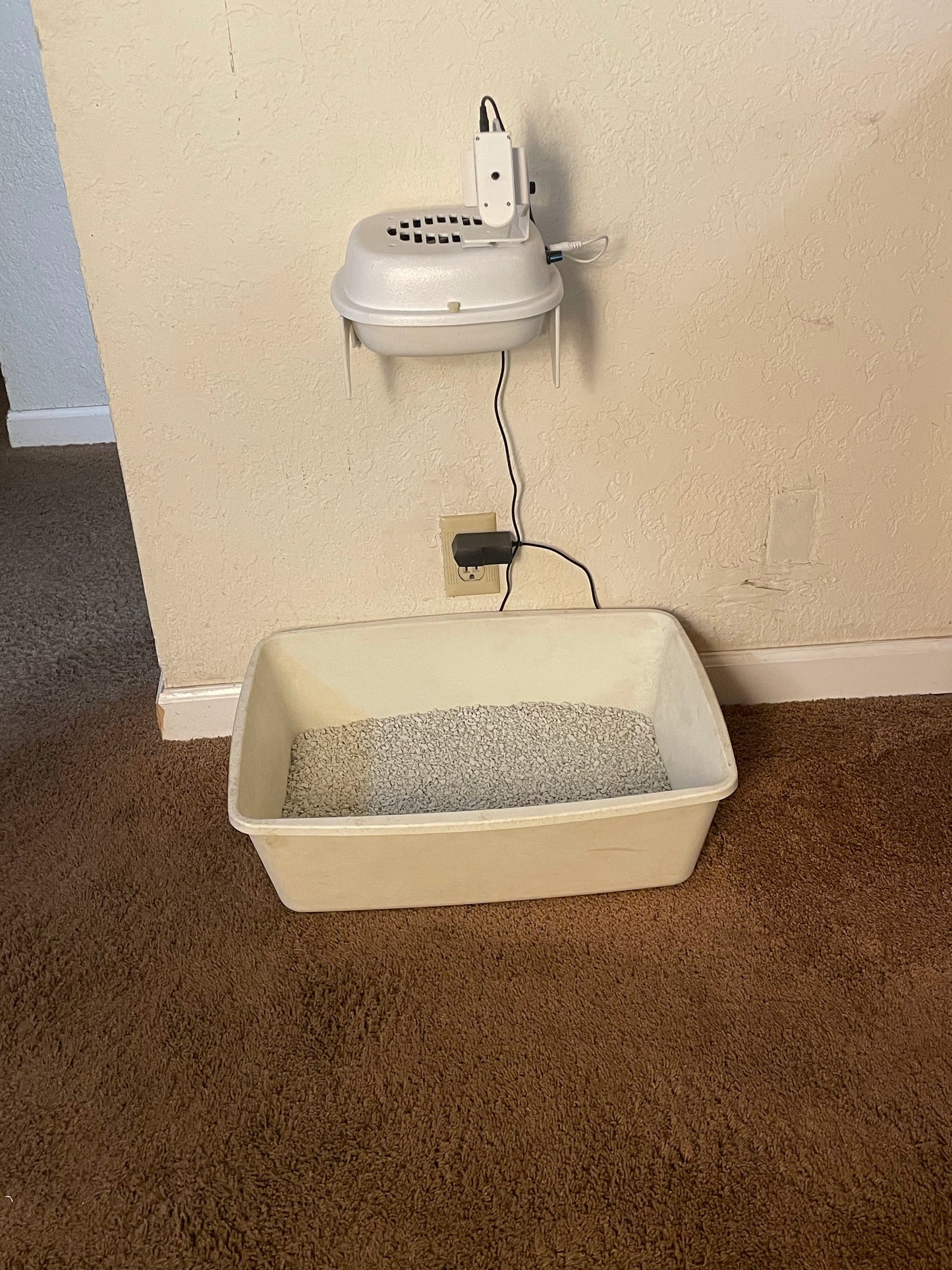 A white plastic cat litter box filled with gray litter, placed on a brown carpeted floor next to a beige wall with a mounted white device and power cord.