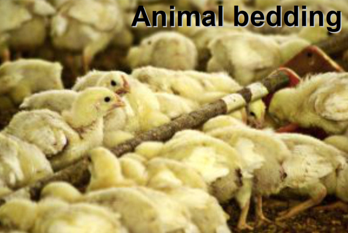 zeolite to reduce odor in barns
