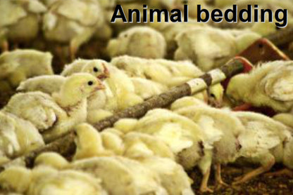 zeolite to reduce odor in barns