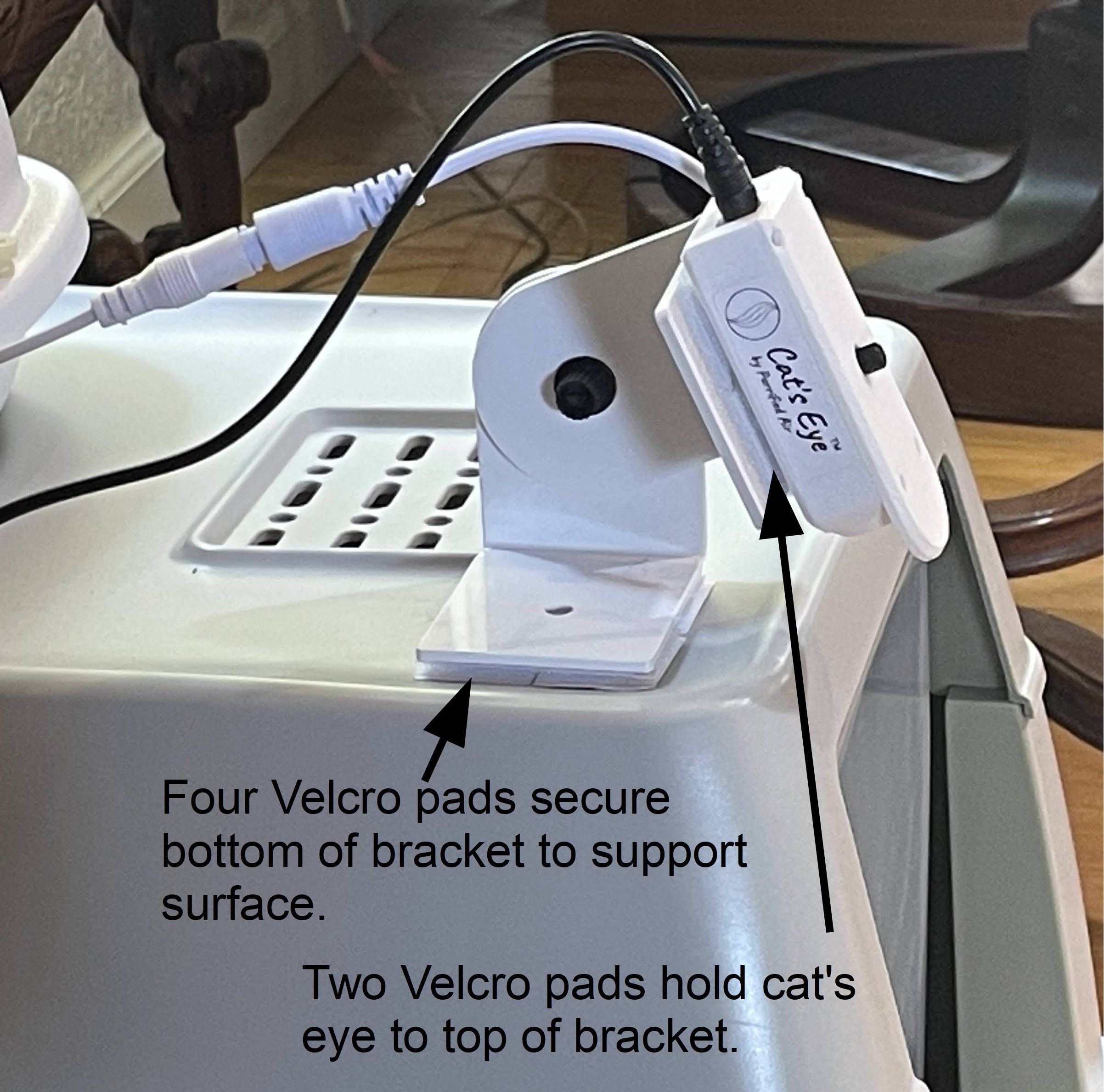 Cat's Eye - Purrified Air 