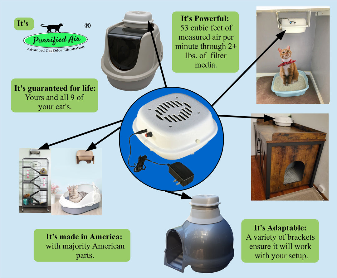 Cat litter air purifier deals