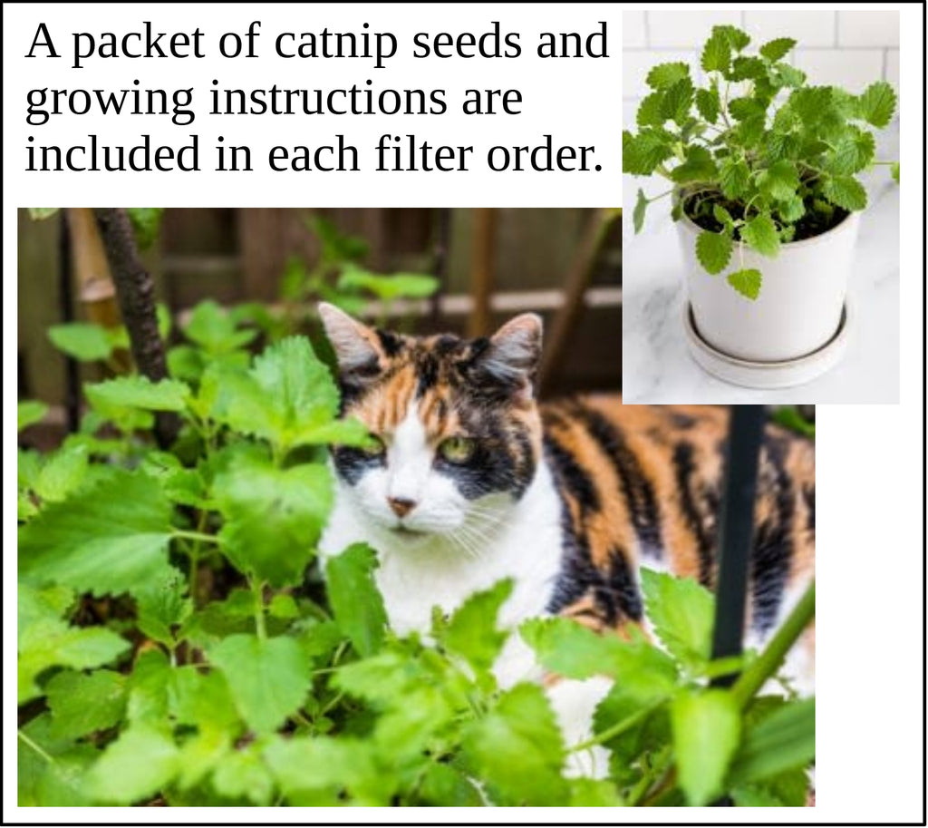 Air Purifier + Dome Adapter Bundle - Purrified Air 