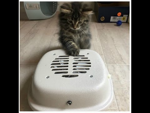 Purrified Air Litter Box Air Purifier